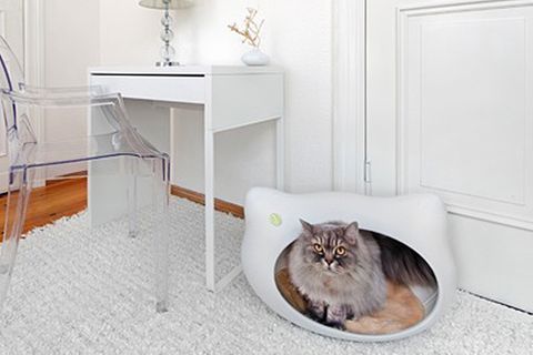 Schöner Wohnen für Katzen