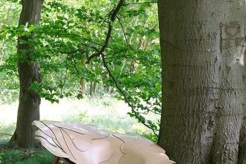 Möbel & Accessoires: Die Natur im Haus