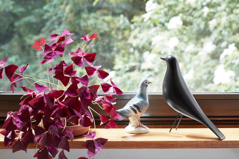 Eames' "House Bird" von Vitra