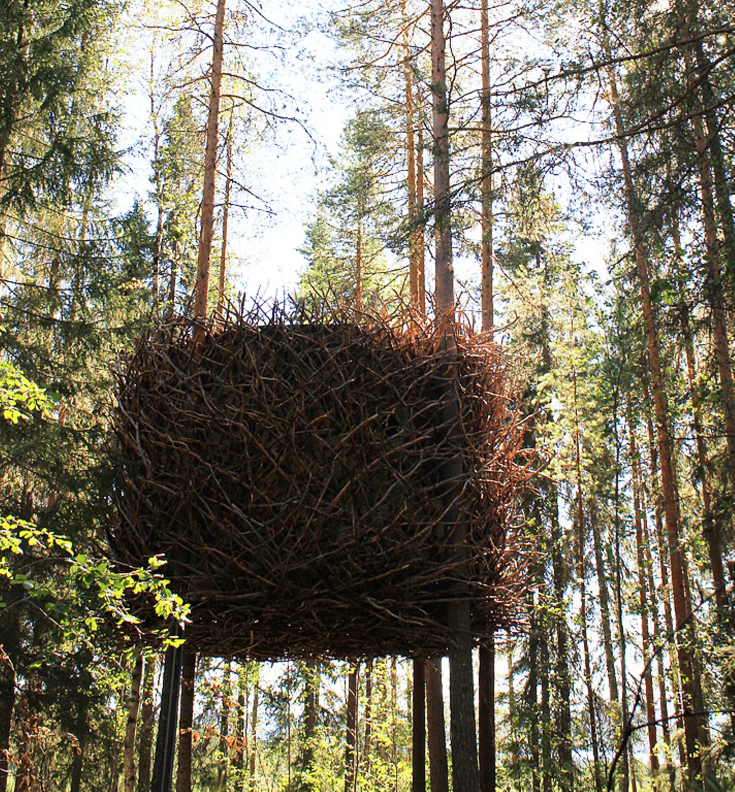 Baumhaus "Bird's Nest" in einem Baumhaus-Hotel