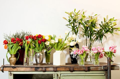 Welche Vase für welche Blume: Vasen-Guide von zwei Experten