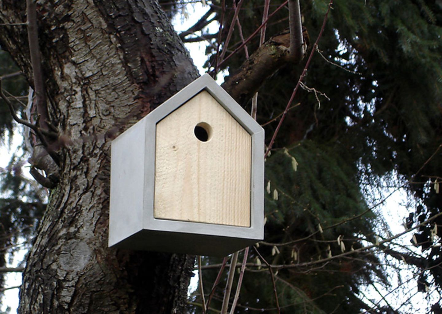 Beton und Holz: Vogelhaus "Rohbau"  - Bild 10