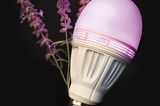 LED-Licht mit Duft: "Aromalight" von Avox