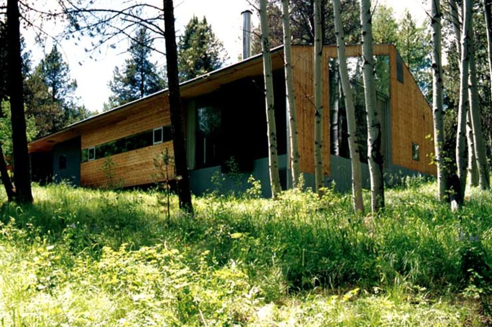 Holzhaus mitten im Wald