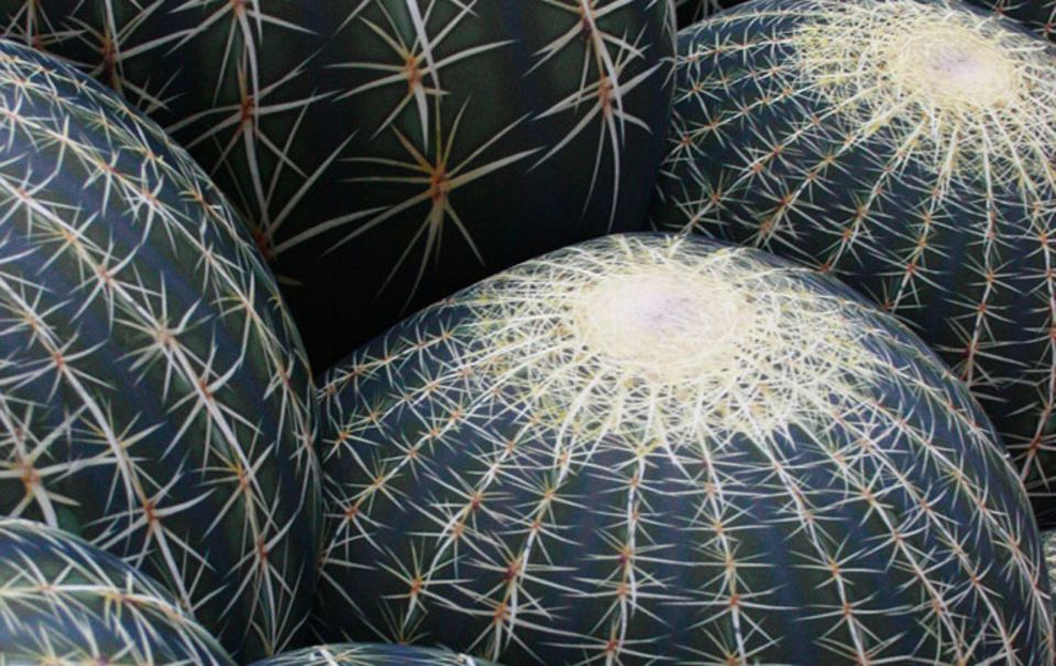Sofa als Kaktus verkleidet