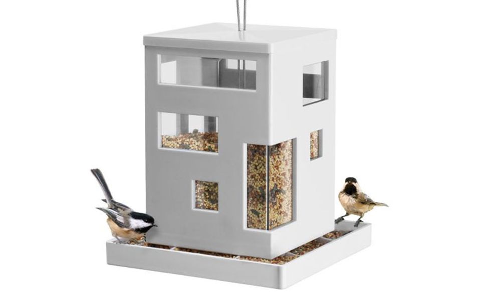 Ein Design-Café für Vögel