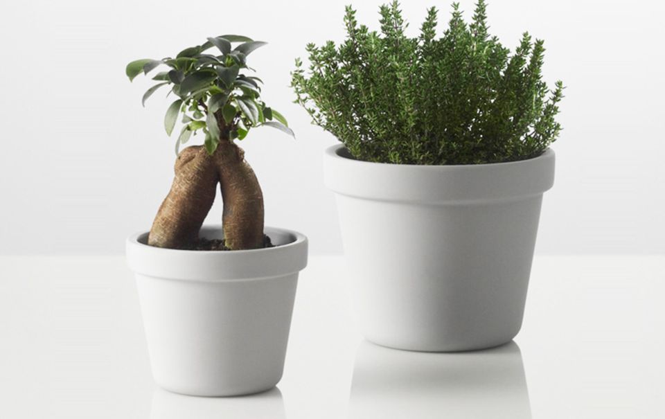 Blumentopf mit integriertem Untersetzer - [SCHNER WOHNEN]