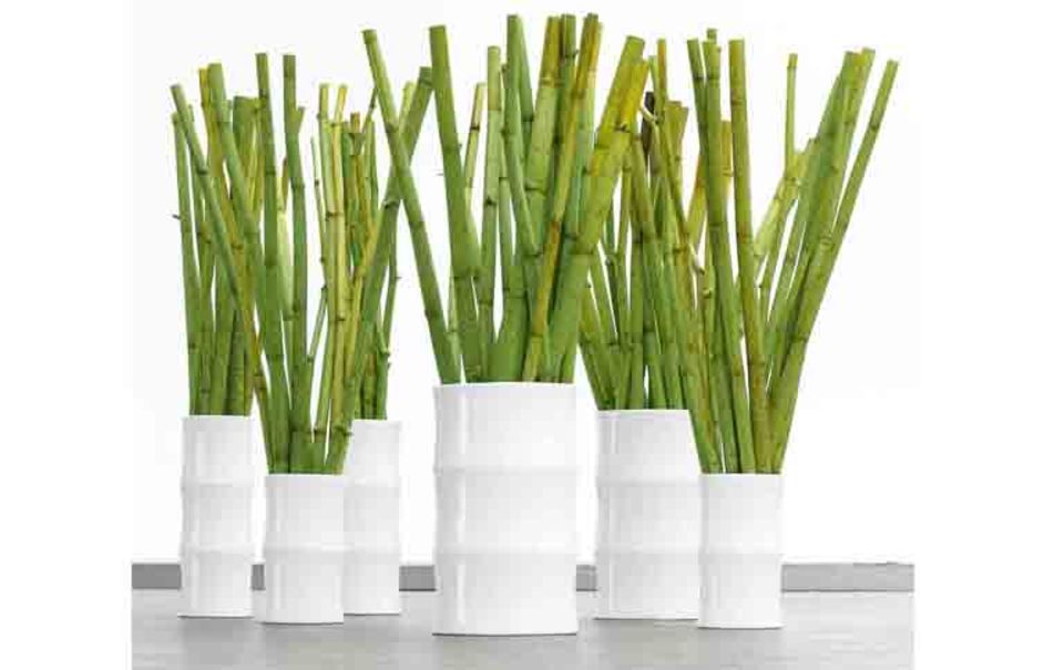 Vasen in Bambus-Form