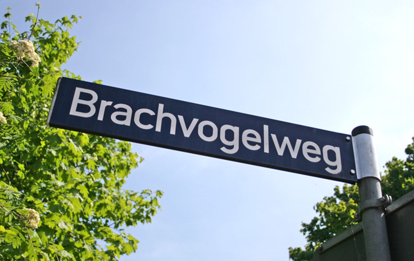 Der Brachvogelweg in Hamburg Lurup.