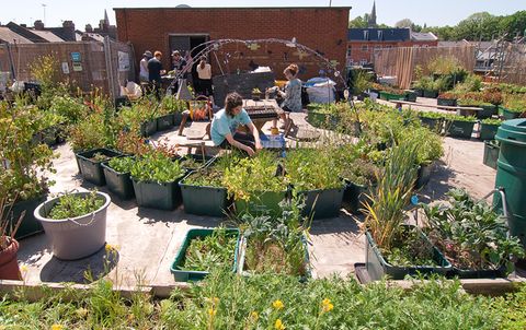 Urban Gardening Gemeinschaftsgärten in der Stadt [SCHÖNER WOHNEN]