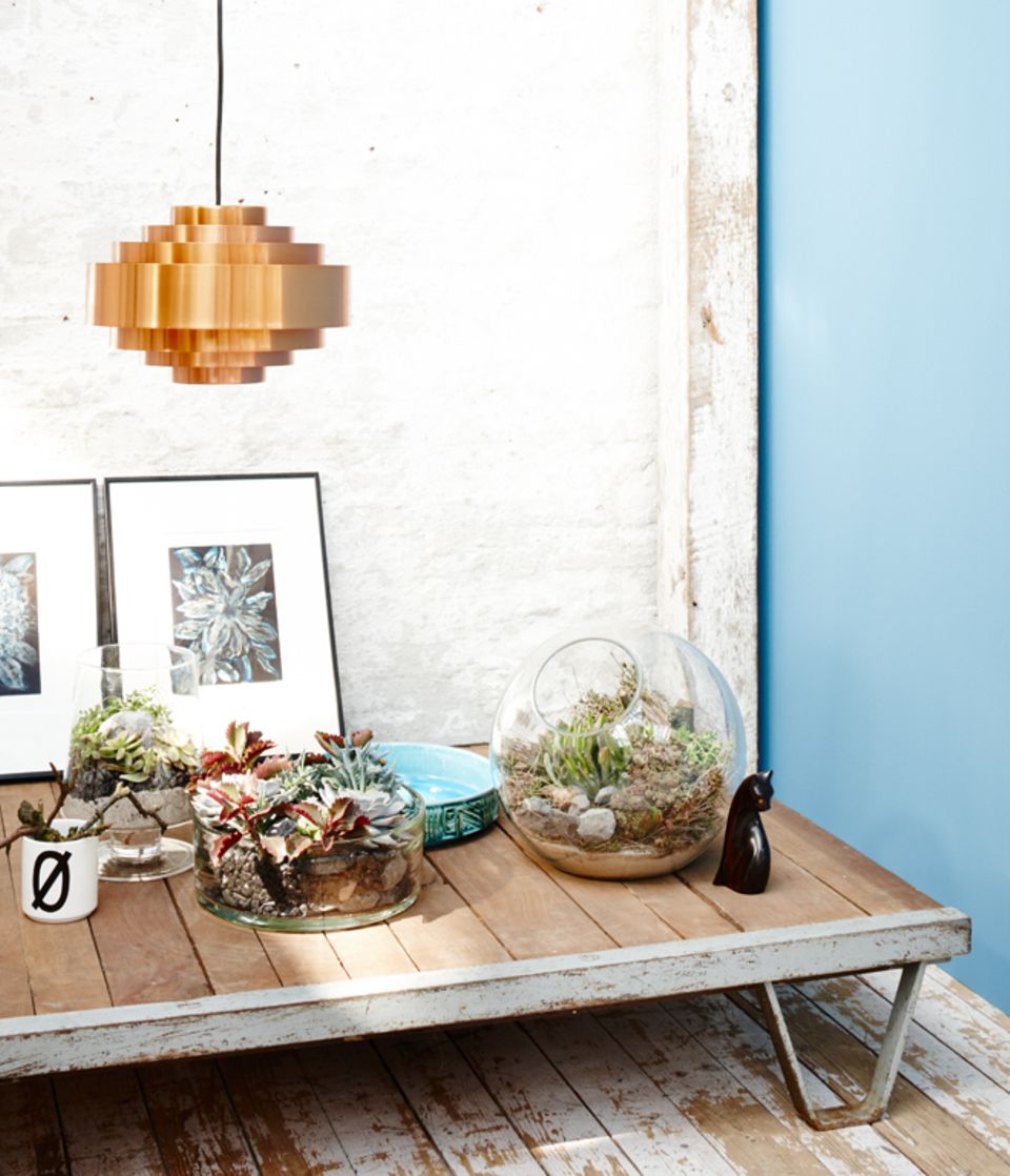 Tipp: Bilder mit passenden Pflanzenmotiven einfach an die Wand lehnen. So kann man sie ohne großen Aufwand umstellen. Tipp: Bilder mit passenden Pflanzenmotiven einfach an die Wand lehnen. So kann man sie ohne großen Aufwand umstellen.