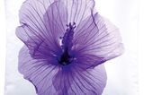 Kissen mit Blüte