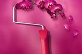 Jubiläums-Trendfarbe "Orchidee" von SCHÖNER WOHNEN-Farbe