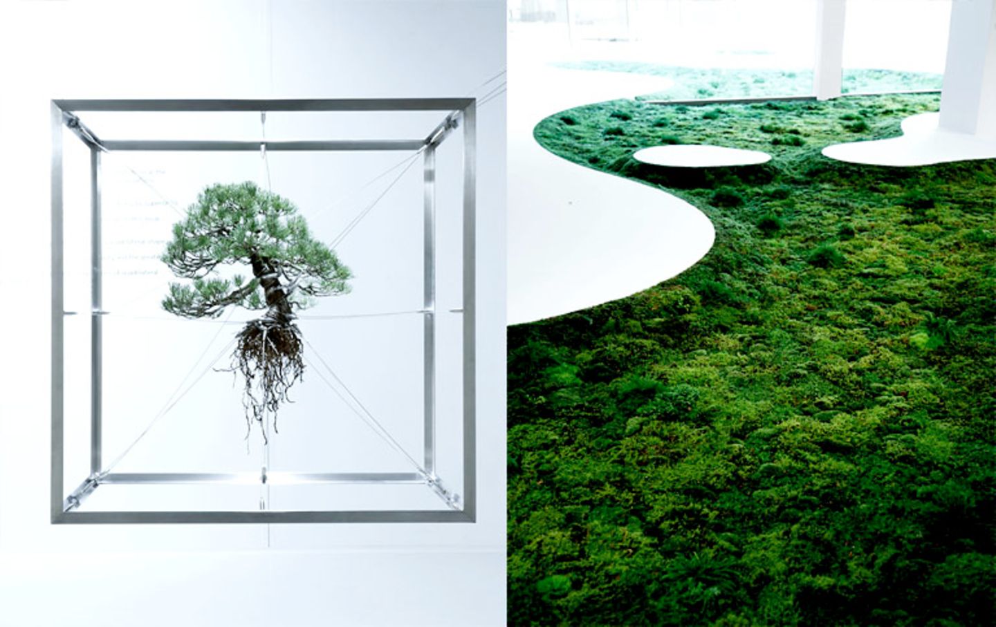 Kunst mit Moos und Pflanzen: Makoto Azuma