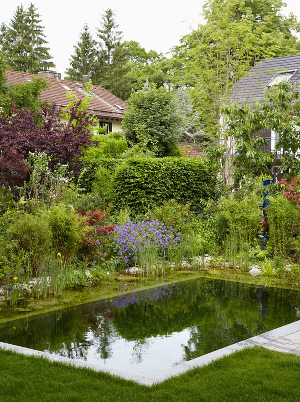 3. Platz ModernisierungsWettbewerb Schwimmteich im Garten Bild 8