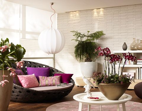 Das Wohnzimmer mit Pflanzen verschönern Ideen & Tipps [SCHÖNER WOHNEN]