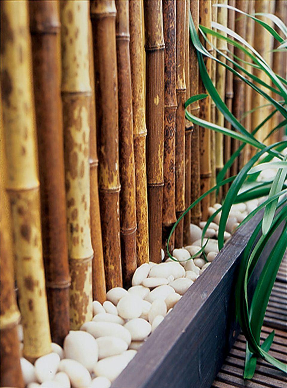 Sichtschutz aus Bambus selbst gestalten - Bild 26 - [SCHÖNER WOHNEN]