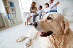 Selbstauskunft: Familie mit Hund in der Wohnung
