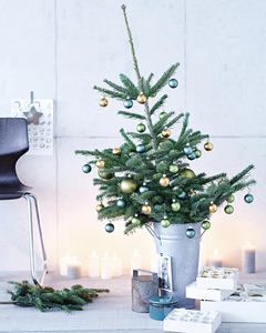 Farben für die Tanne: Weihnachtskugeln in Rot-Gold, Blau-Silber und