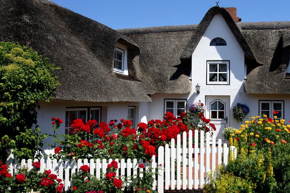 Landhaus mit Reetdach und blumenbepflanztem Holzzaun