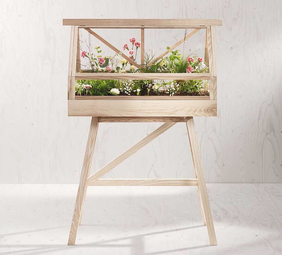 Unter Glas: Mini-Gewächshaus 