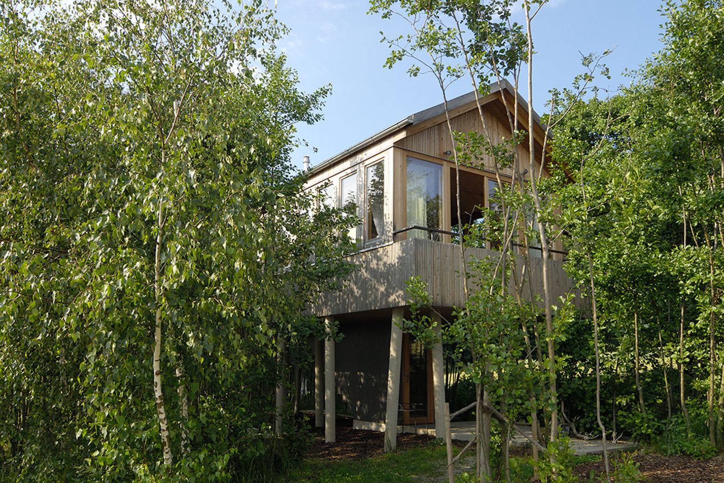 Baumhaus auf Baumhaus auf Hofgut Hafnerleiten/ Bad Birnbach