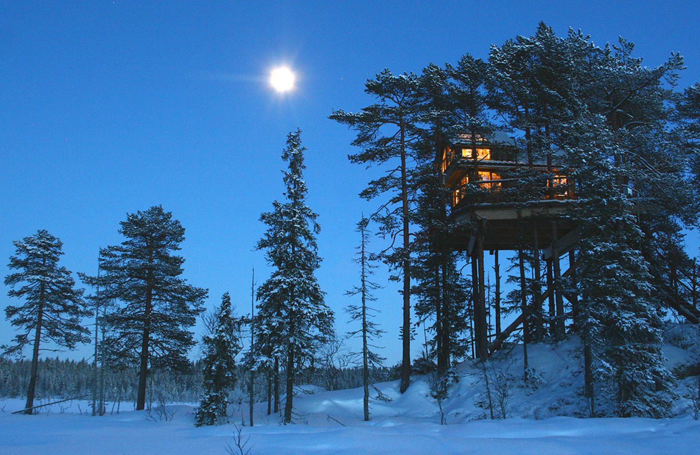 Baumhaushotel "Tree Top Hut" in Norwegen