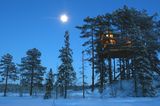 Baumhaushotel "Tree Top Hut" in Norwegen
