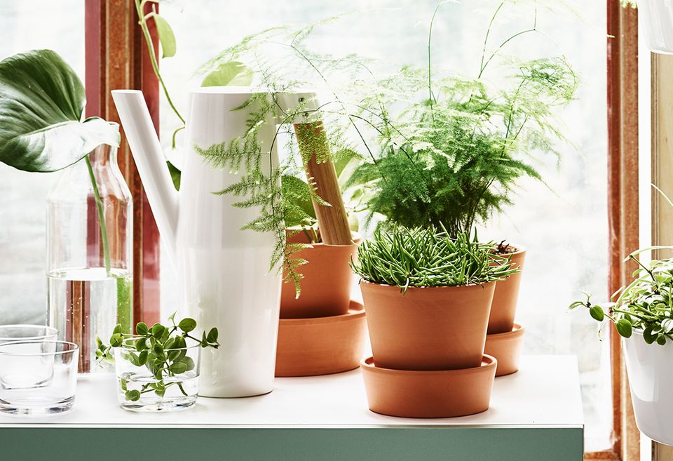 Frisch gemacht Gießkanne "Bittergurka" von Ikea [SCHÖNER WOHNEN]