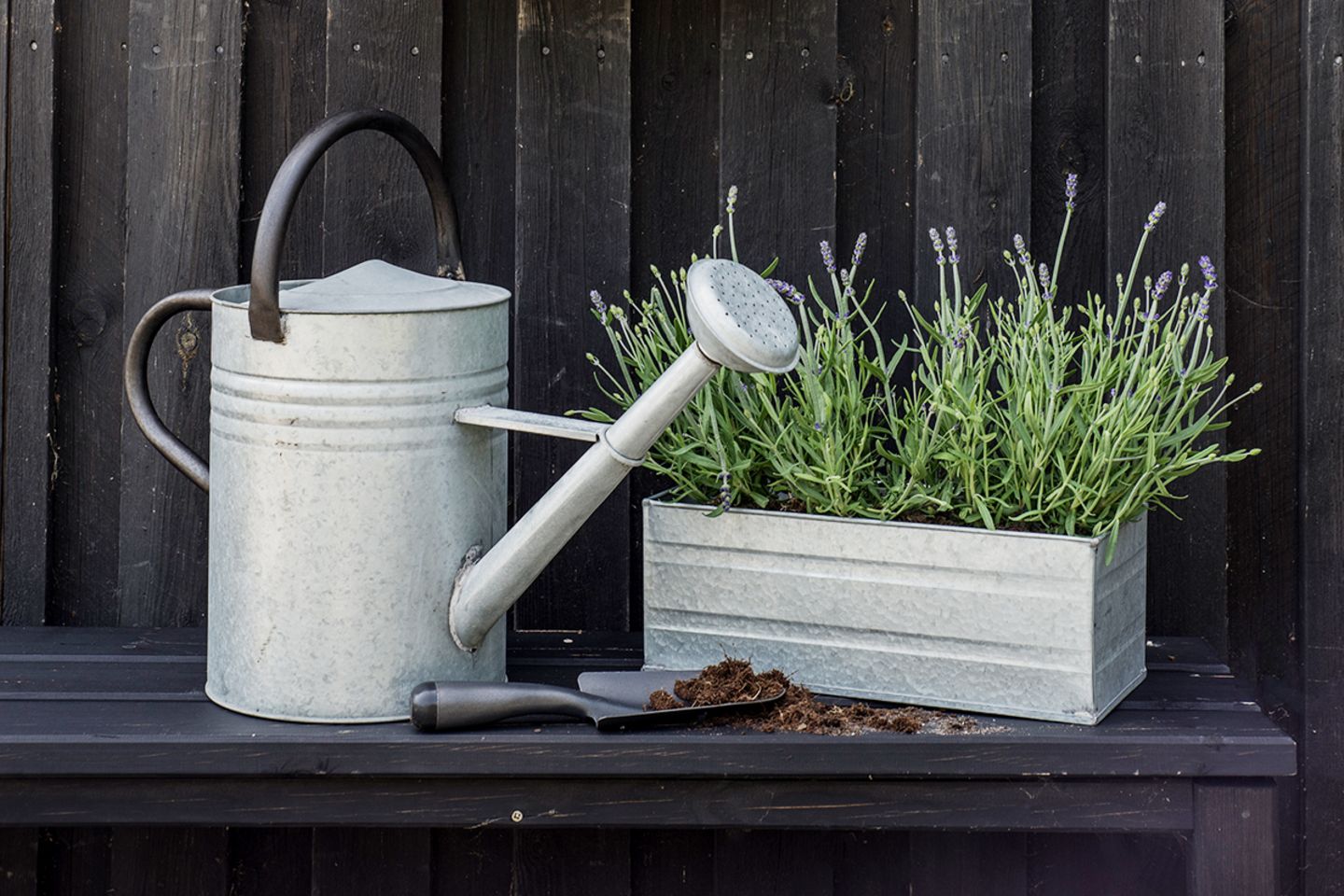 Blumenkasten – alles zu Befestigung & Materialien