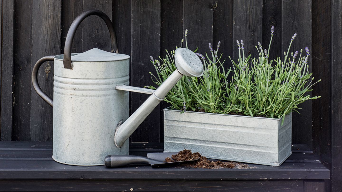 Blumenkasten  alles zu Befestigung & Materialien - [SCHNER WOHNEN]
