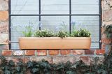 Windowgreen Blumenkasten von Rephorm