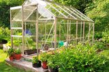 Gartengewächshaus aus Glas im Grünen