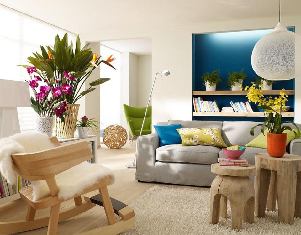 Das Wohnzimmer mit Pflanzen verschnern  Ideen & Tipps - [SCHNER WOHNEN]