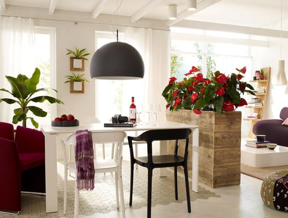 Das Wohnzimmer mit Pflanzen verschnern  Ideen & Tipps - [SCHNER WOHNEN]