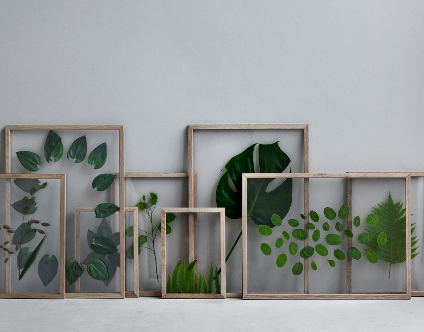 Monstera hinter Glas - Bild 8 - [SCHNER WOHNEN]
