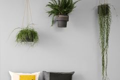 Wände verschönern – kreative Ideen für kahle Wände - [SCHÖNER WOHNEN]