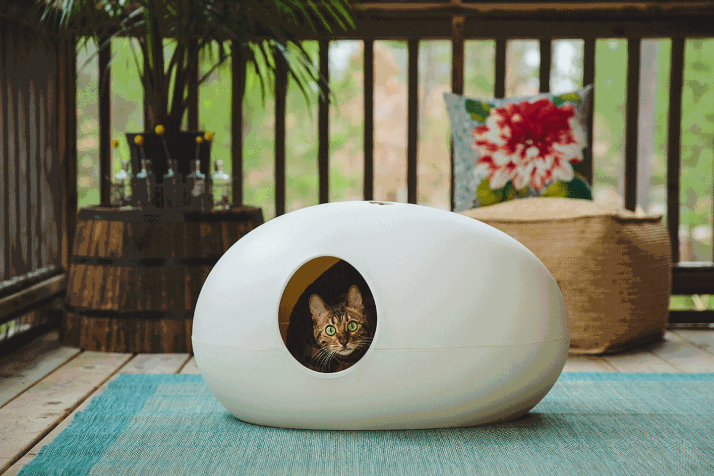 Katzentoilette: Buddelspa im berraschungsei - [SCHNER WOHNEN]
