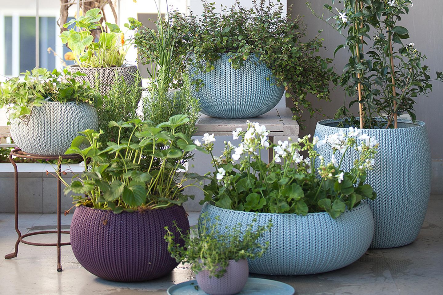 blumenkasten ganzjährig Blumenkasten Colorful – Industriestil main image 0