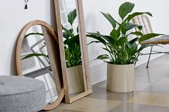Spiegel "Mirror Bamboo und Pinie", Bloomingville