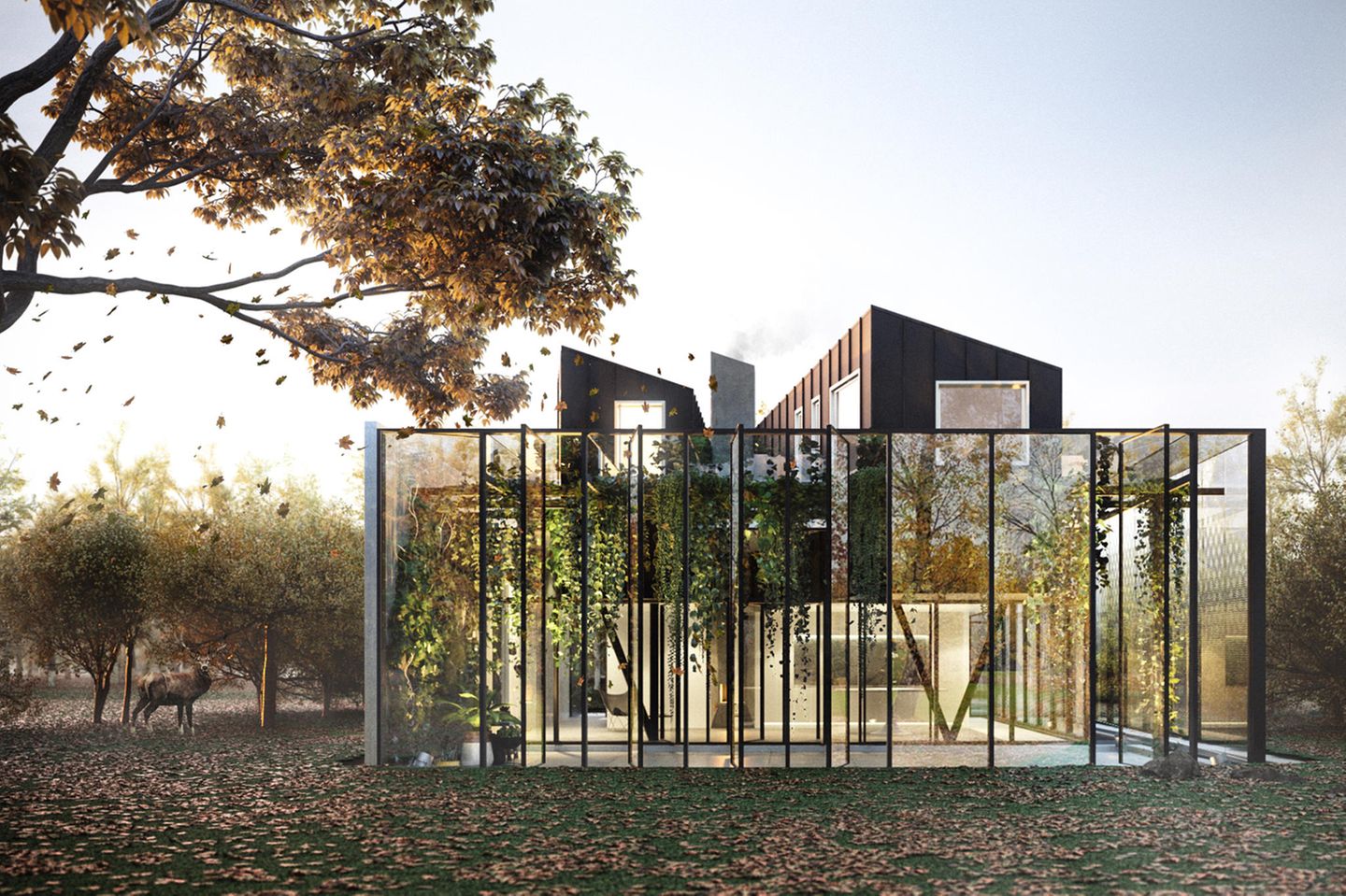 Somatic Collaborative, USA/ Equador