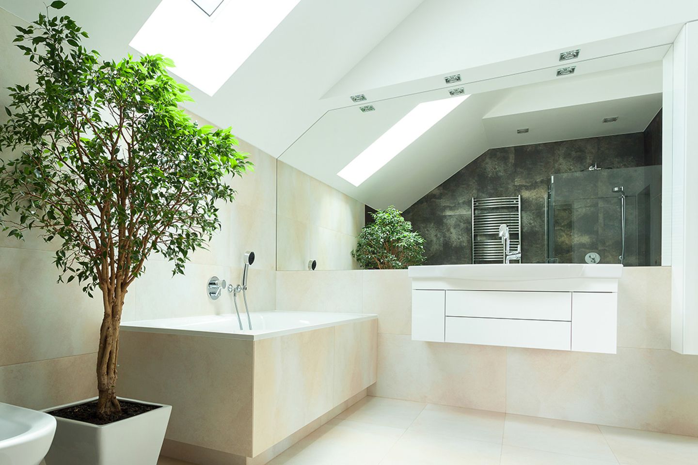 Ficus benjamina im Bad - [SCHNER WOHNEN]