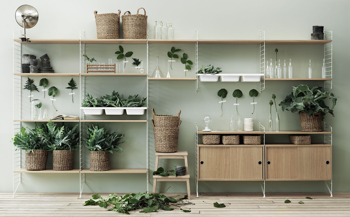 Plant love im Wandregal - Bild 5 - [SCHNER WOHNEN]