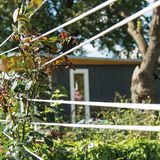 Ideen für den Schrebergarten [SCHÖNER WOHNEN]