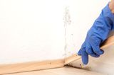 Ecke mit Schimmel an der Wand, an der die Fußleiste entfernt wird