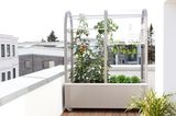Balkongewächshaus "Terra" mit App-Steuerung