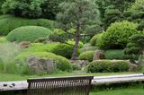 Japanische Kuchenbäume im Schaugarten