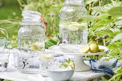 Gartenparty mit selbstgemachter Limonade