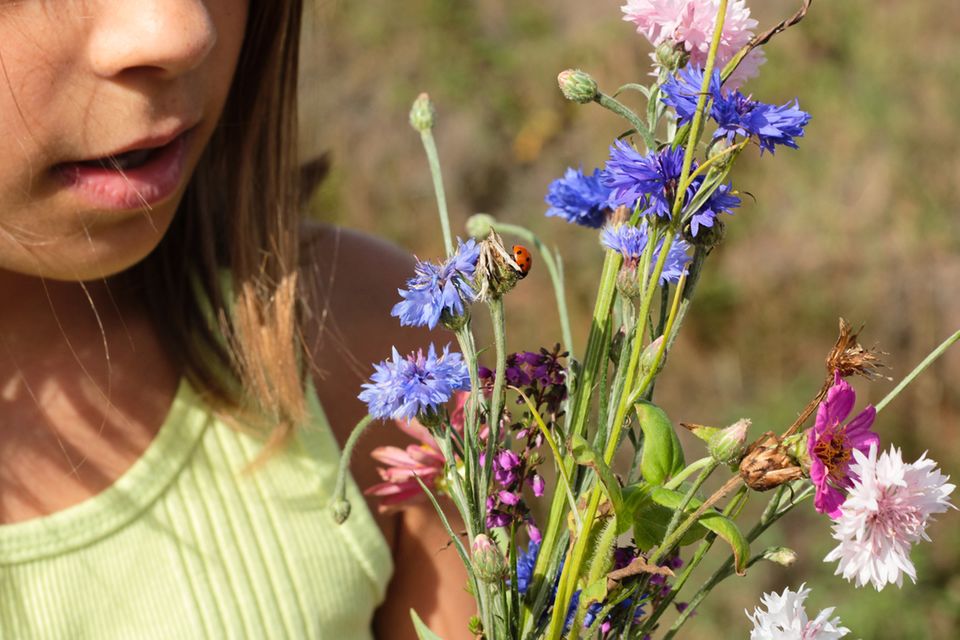 Wildblumenwiese pflanzen Mädchen mit Wildblumen-Strauss