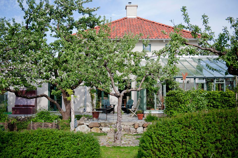 Mit grünen Hecken eine lauschige Ecke schaffen - Bild 2 - [SCHÖNER WOHNEN]